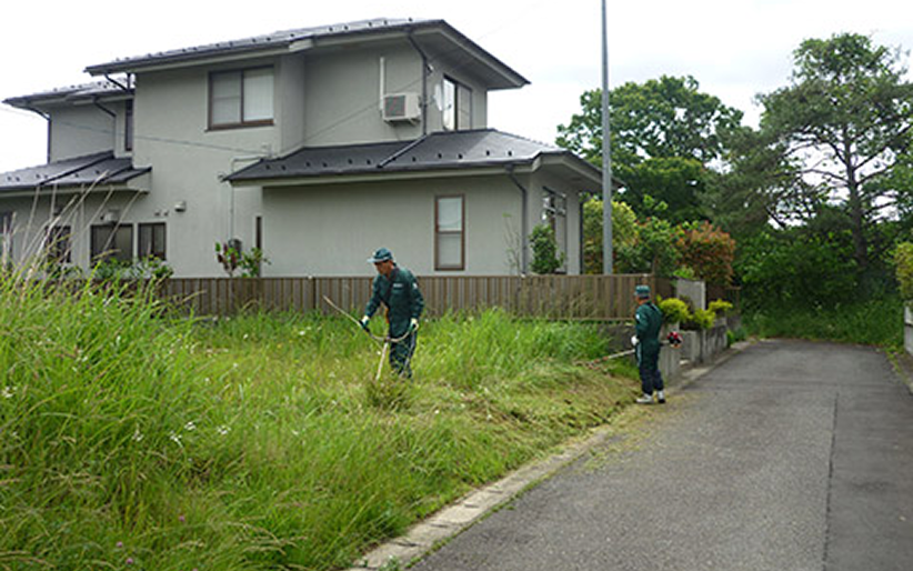 除草作業イメージ