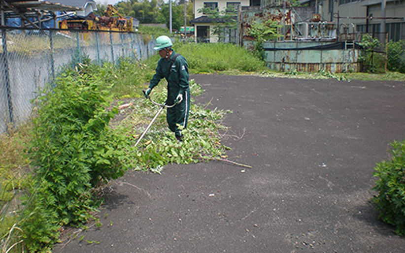 除草作業イメージ