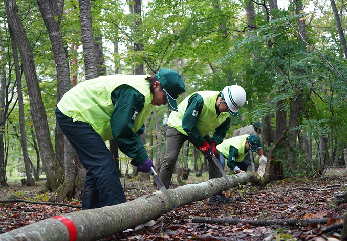 「青下の杜プロジェクト」活動の様子