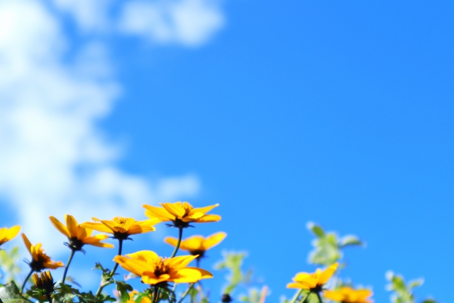 令和3年度宮城県ストップ温暖化賞受賞（令和4年1月）