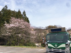 春が来ました。（平成31年4月）