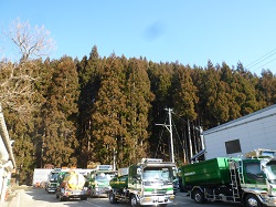 春の訪れを感じるこの頃・・（平成31年3月）
