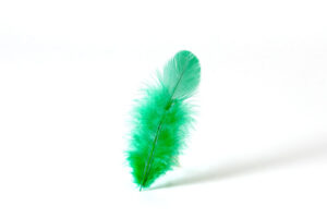 緑の募金へ寄付を行いました（令和4年5月）