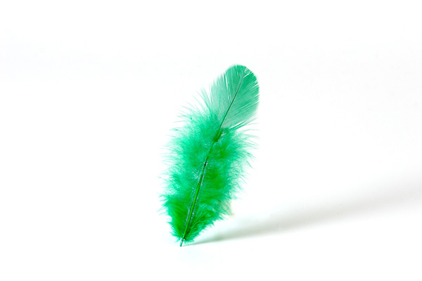 緑の募金へ寄付を行いました（令和4年5月）