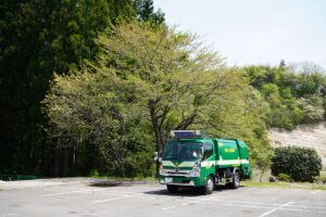 今年も黄緑色の桜が咲きました（令和6年4月）