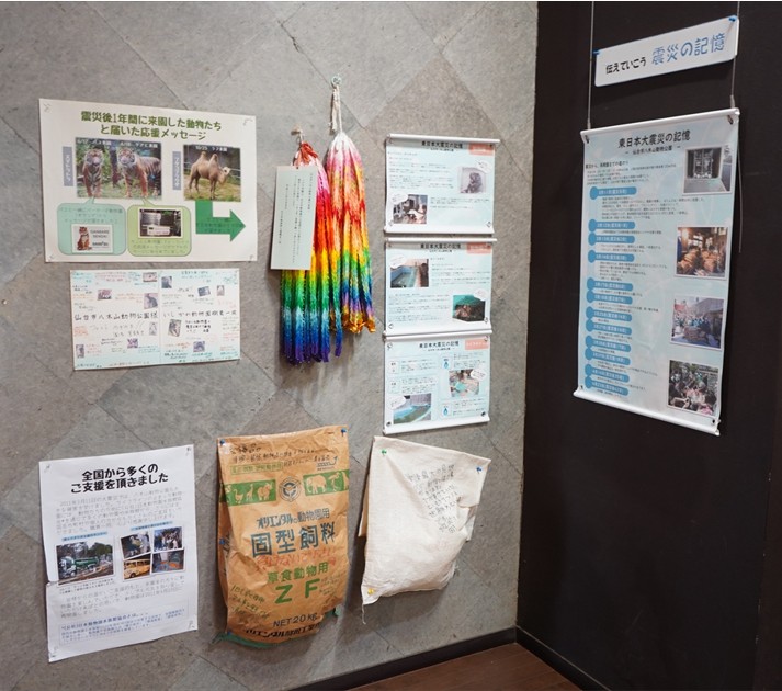 動物の命を救う、今も語り繋がれています（令和7年6月）