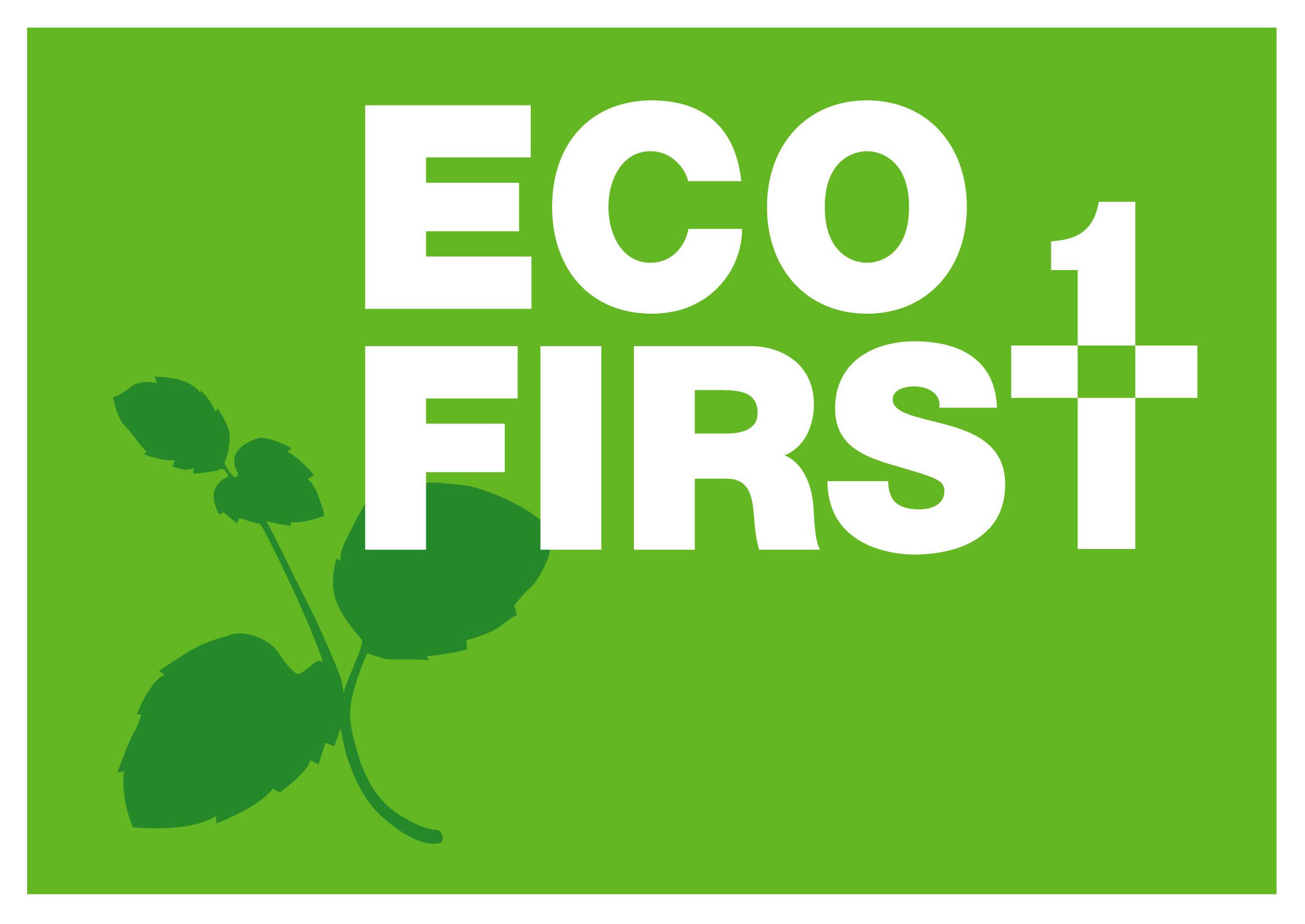 ecofist