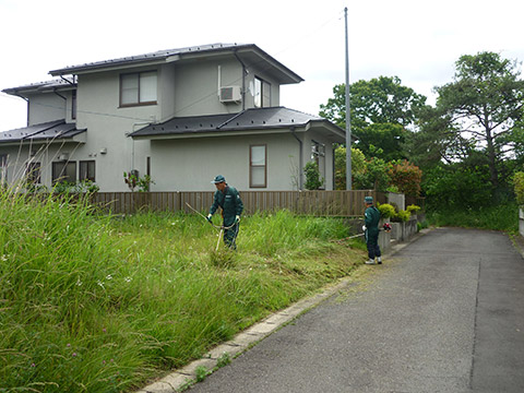 除草作業