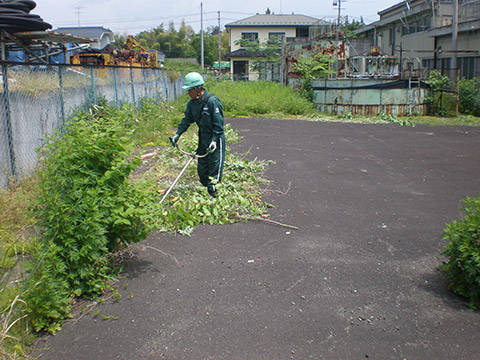 除草作業